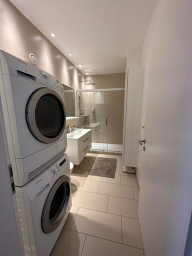 Bathroom 4, Superb Loft In The Center Of Lausanne, Ouest lausannois
