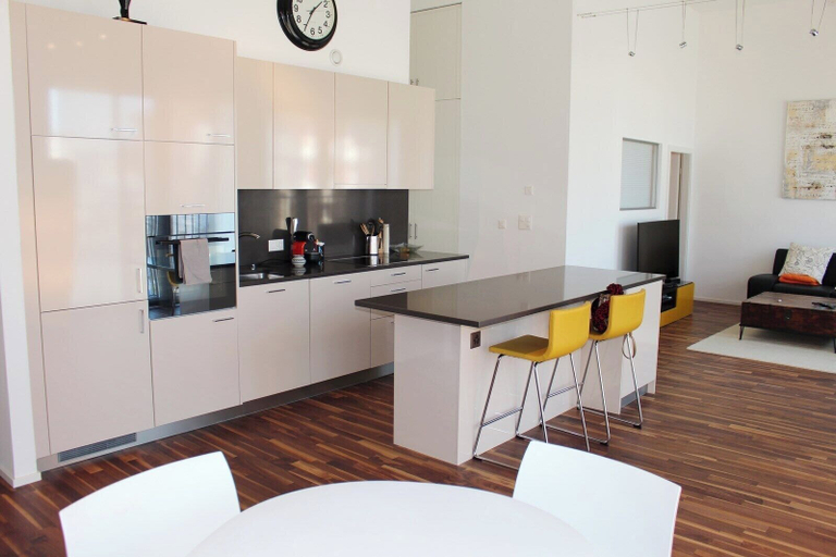 Others 5, Superb Loft In The Center Of Lausanne, Ouest lausannois