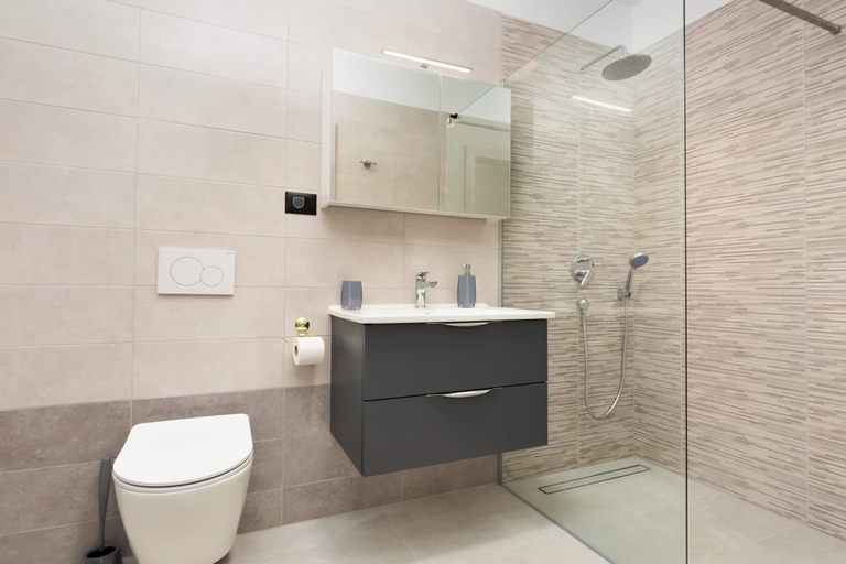 Bathroom 5, House Holiday House Milotici, Tinjan