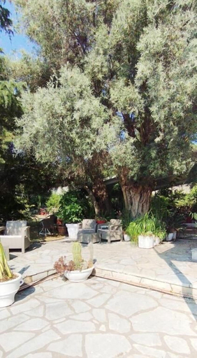 Terrace/patio 5, Xenia & Antonis, Ionian Islands