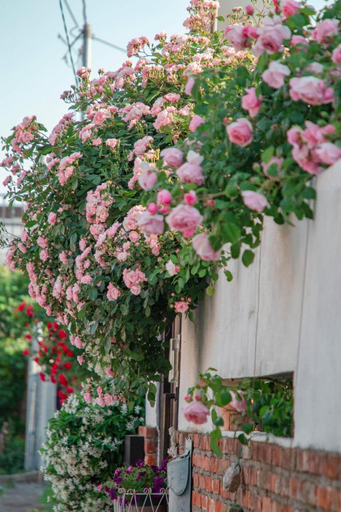 Others 3, Dongparang hanok stay, Gyeongju