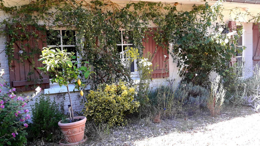 Others 4, La Berviniere, Loir-et-Cher