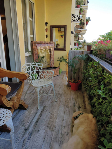 Others 3, Room-'mount View Double-bed' By Aparna B, Panchkula