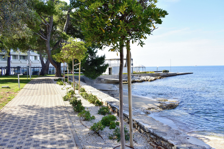 Property grounds 2, Quiet Garden Apartment in Umag, Umag