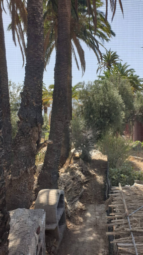 Garden 5, Casa Ansite, at the Heart of Gran Canaria, Las Palmas