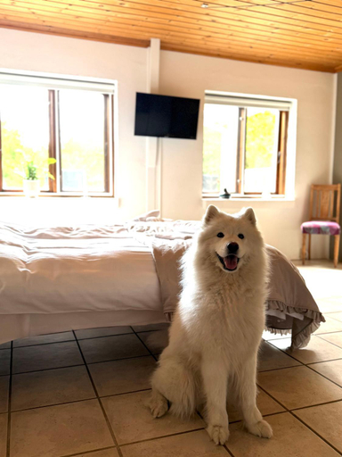 Bedroom 2, Vindvadet Ferielejligheder, Frederikshavn