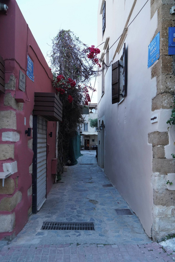 Property grounds 2, Venetian Owl, 1min To Lighthouse, Crete