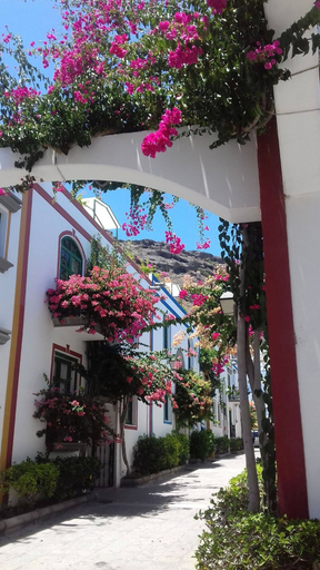 Property grounds 2, Lovely Studio With Private Terrace And Ocean View by El Sirocco - 100 Stairs, Las Palmas