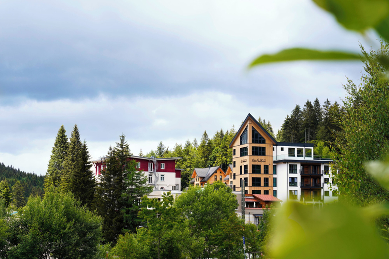 Exterior & Views 2, Waldhotel am Notschreipass, Breisgau-Hochschwarzwald