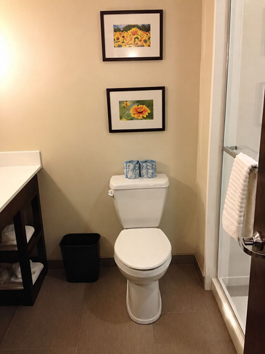 Bathroom 4, Comfort Suites Youngstown North, Trumbull