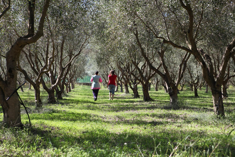 Others 3, Agriturismo A'Sena-Runcatini, Reggio Di Calabria