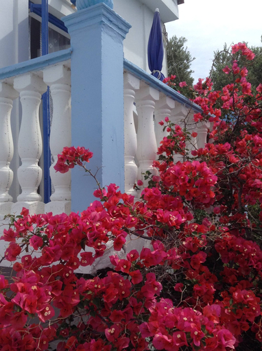 Exterior & Views, Meltemia Studio Samos Near the Beach, North Aegean