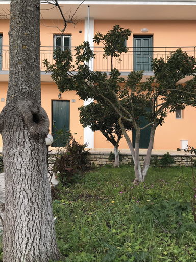 Others 3, Room-studio in Banos Apartments With sha, Ionian Islands
