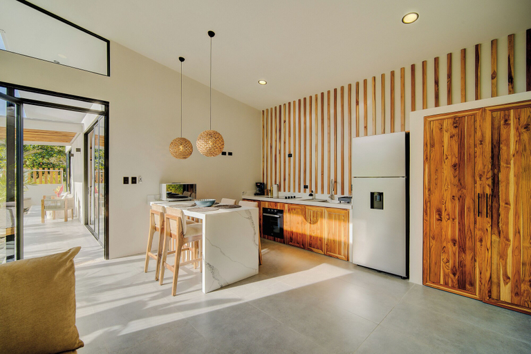 Private kitchen 2, Villas Tsuru, Talamanca