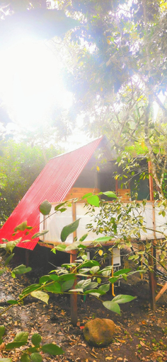 Property grounds 3, Chalet 1 Airenaturaa, Quebradanegra