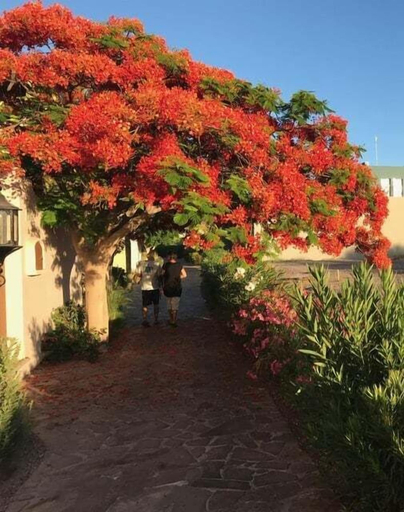 Exterior 5, Charming Home in Loreto Bay, Steps From the Golf Course and From Coffee Shop, Comondú