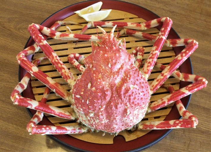 Food & Drinks 5, Mihama Resuteru, Numazu