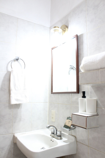 Bathroom 4, La gran tenochtitlan, San Martín Hidalgo