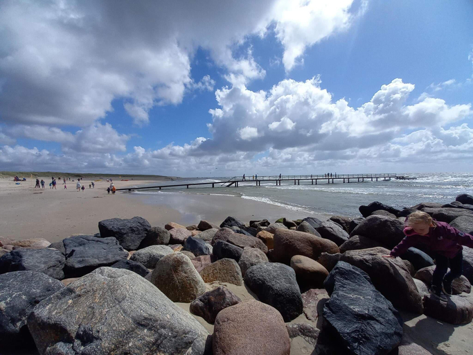 Others 5, 8 person holiday home in Blåvand, Varde
