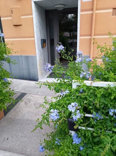 Garden, Work Travel and More, Genova
