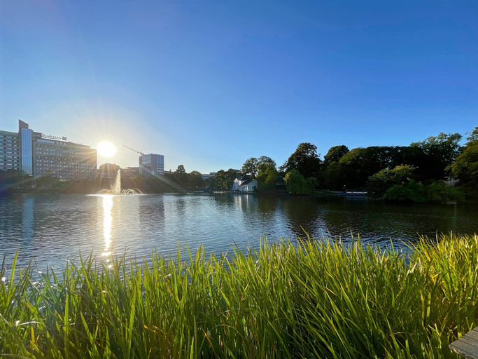 Others 4, BnB Apartment 1 Nice & Cozy"central 2 Rooms by Berti, Stavanger