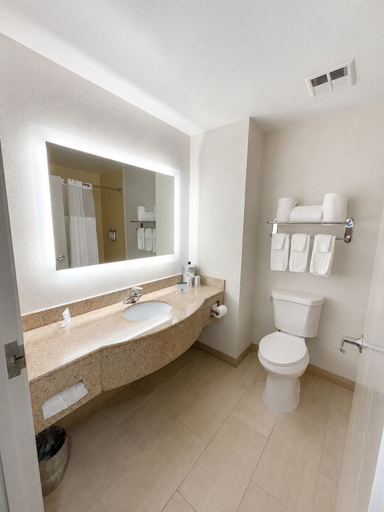 Bathroom 5, Holiday Inn Express & Suites MCDONOUGH by IHG, Henry