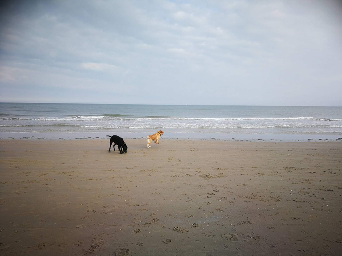 Others 5, 5 star holiday home in Hirtshals, Hjørring