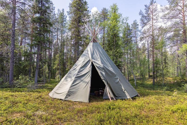 Miscellaneous, Villa Hellitä, Lapland