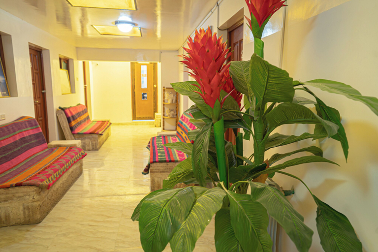 Others 5, Hostal Terra Sal, Antonio Quijarro