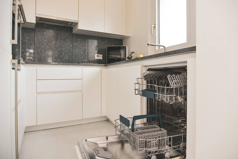 Private kitchen, Luxury Nassa Penthouse With Private Terrace in Lugano, Lugano