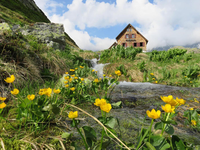 Others 5, My Chalet, Oberhasli