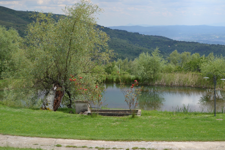 Others 2, Apartment With Views of the Surrounding Nature, Arezzo