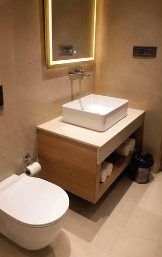 Bathroom 4, Hotel Meridien River Front Rajbagh, Srinagar