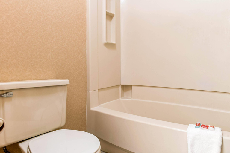 Bathroom 4, Econo Lodge Holland - Toledo, Lucas