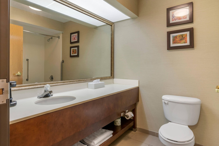 Bathroom 5, Comfort Inn Charlotte, Eaton