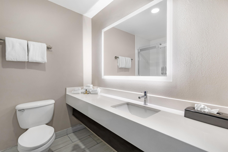 Bathroom 4, Best Western Plus Pocomoke City, Worcester