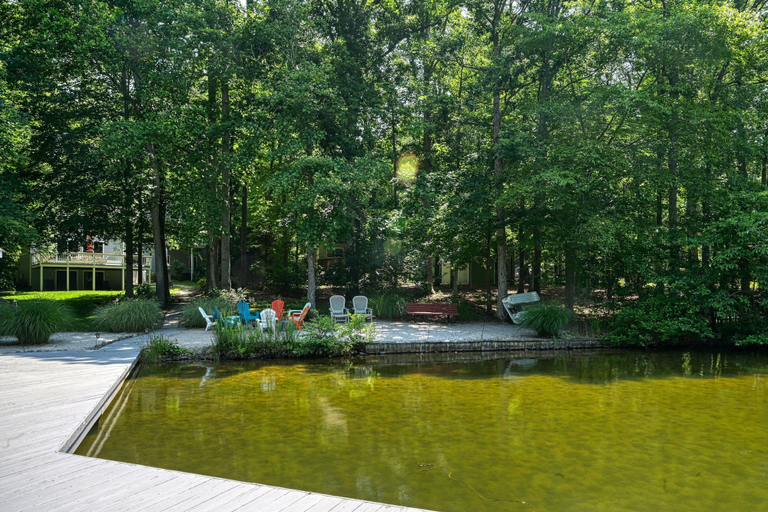 Property grounds 4, Lakefront Oasis With Free Wifi, Private Dock, Furnished Deck, & Paddleboards, Louisa