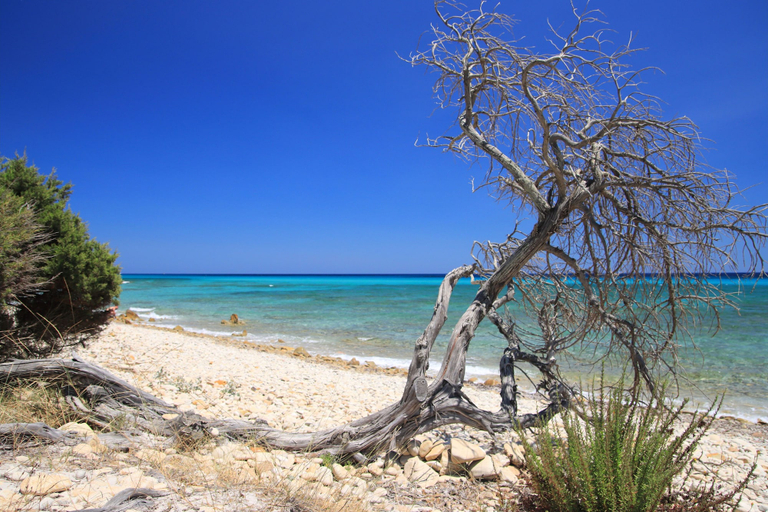 Beach 5, Idyllic Residence Cala Viola Studio Sleeps 2, Nuoro