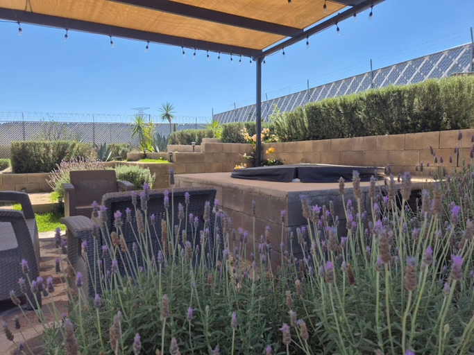 Garden, Container Glamping, Zapopan