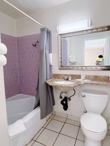 Bathroom 3, Royal Inn & Suites, Riverside