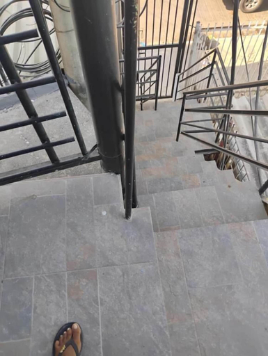 Property grounds 3, Safarihostal, Cartagena de Indias