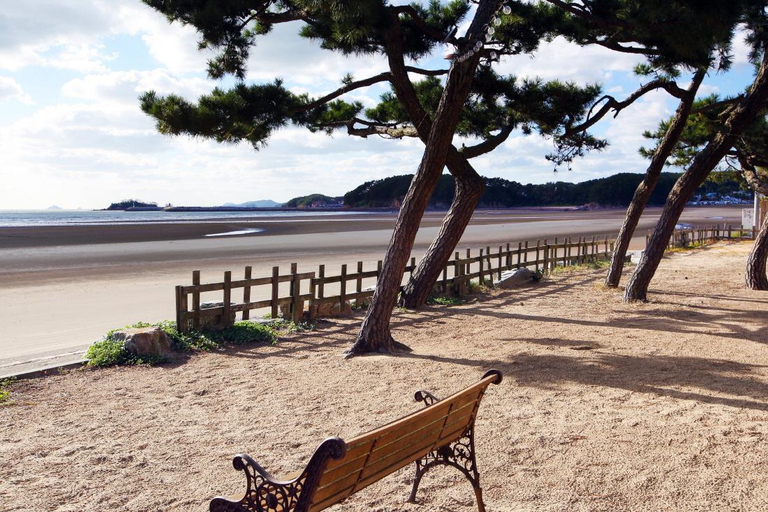 Others 2, Taean (Mongsanpo) Sea of ​​Dreams, Taean