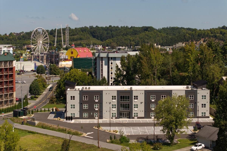 Primary image