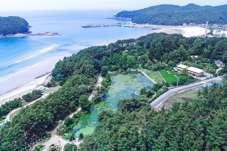 Others 5, Taean Everblue Pension, Taean