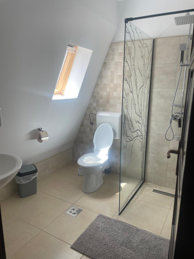 Bathroom, Casa Forras, Borsec