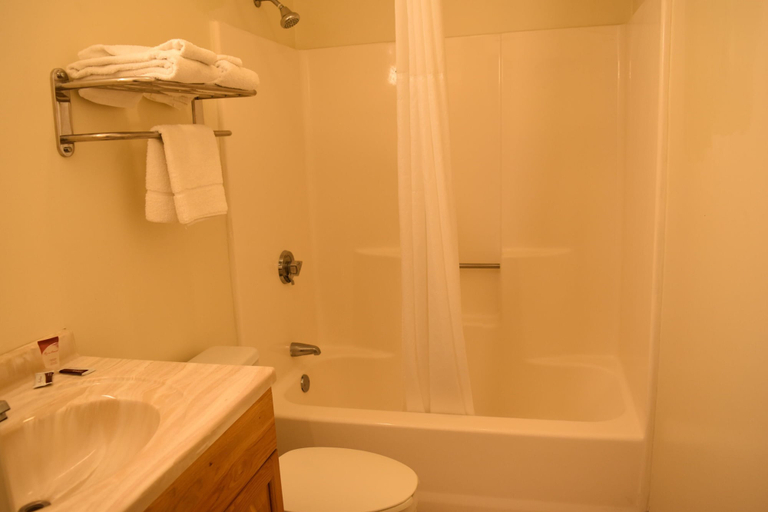 Bathroom 5, PLYMOUTH MOTOR LODGE, Litchfield