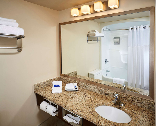 Bathroom 4, Best Western Plus Guildwood Inn, Lambton