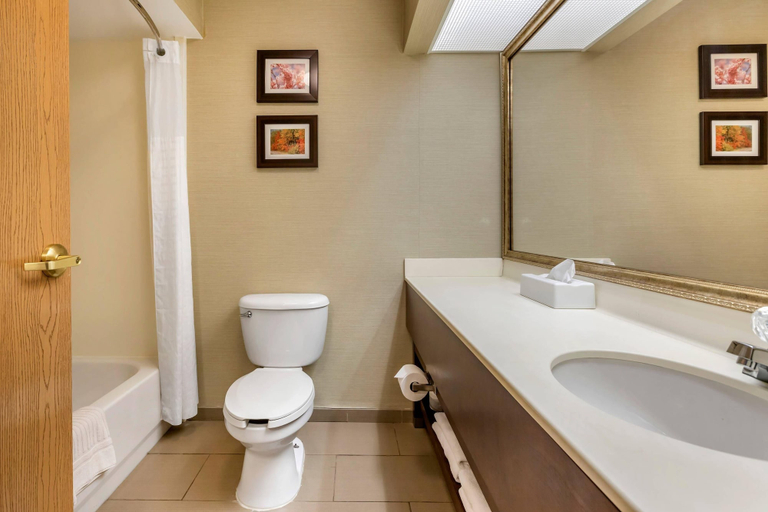 Bathroom 5, Comfort Inn Charlotte, Eaton