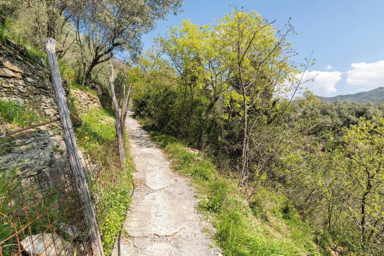 Miscellaneous 5, Room-a Yurt Among Olive Trees and the se, Genova
