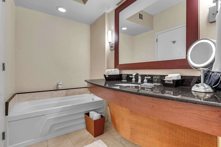 Bathroom 3, Exclusive Trump Beachfront Condo, Miami-Dade